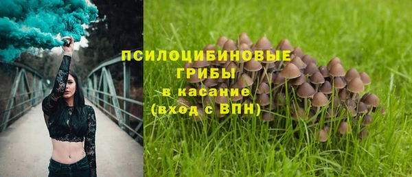 a pvp Аркадак