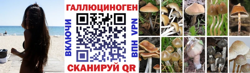 Псилоцибиновые грибы MAGIC MUSHROOMS  кракен как войти  Краснотурьинск  где купить  