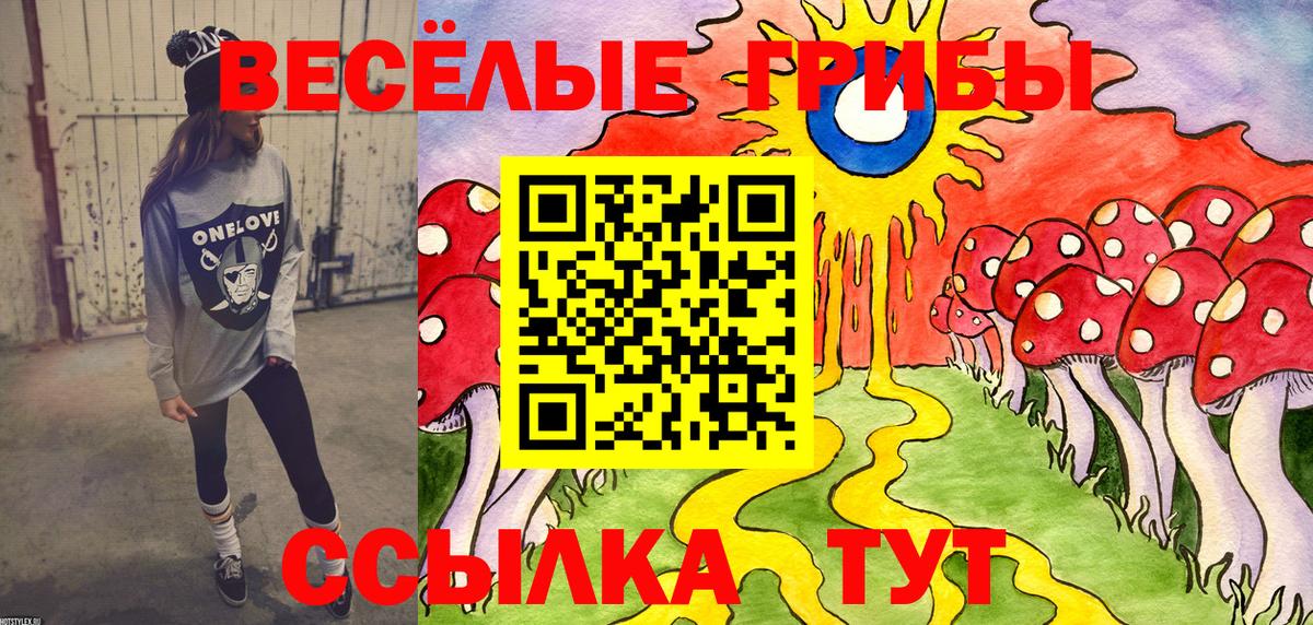 Псилоцибиновые грибы Psilocybine cubensis Краснотурьинск