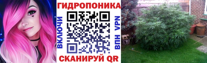 Бошки марихуана VHQ  наркотики  Краснотурьинск 